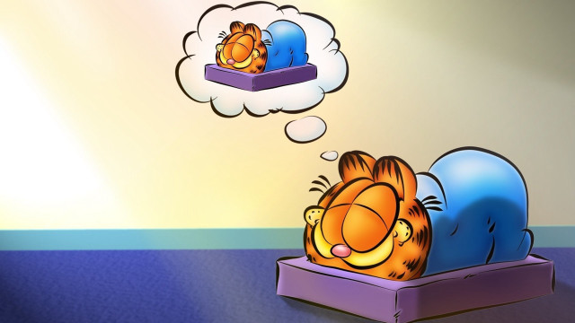 Cartoon cat sleeping box thought free wallpaper - medium preview image