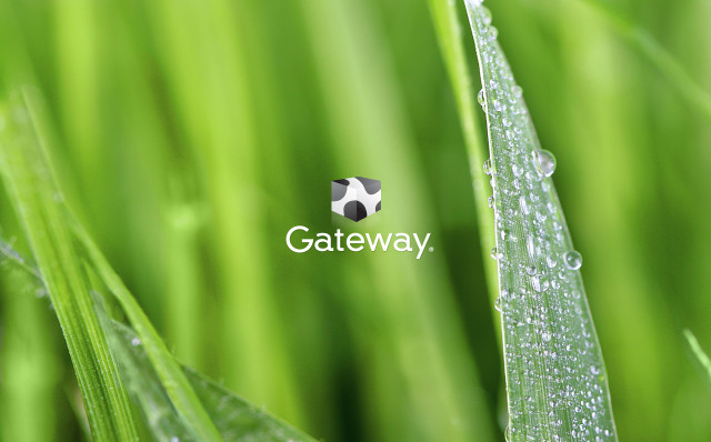 Close up grass gateway logo free wallpaper - medium preview image