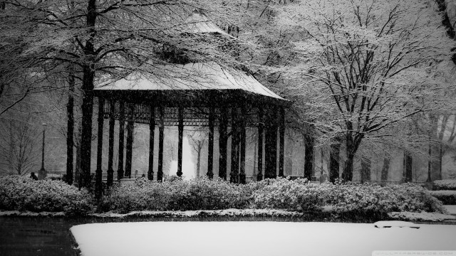 Gazebo snowy park trees bushes free wallpaper - medium preview image