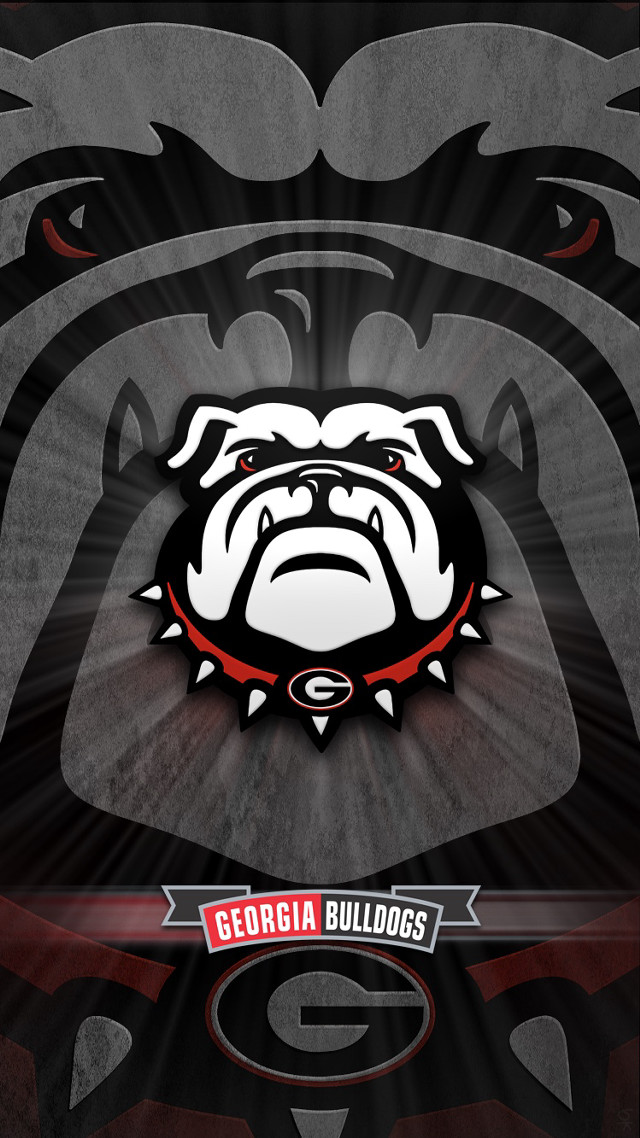 Black white bulldog red collar free wallpaper - medium preview image