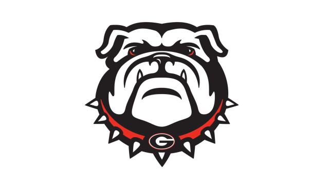Bulldog head spikes collar neck free wallpaper - medium preview image