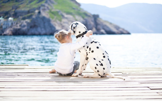 Little girl dock dalmatian dog free wallpaper - medium preview image