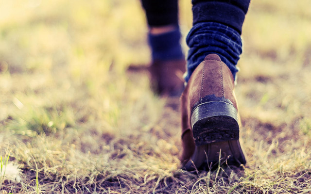Person walking field boots dog free wallpaper - medium preview image
