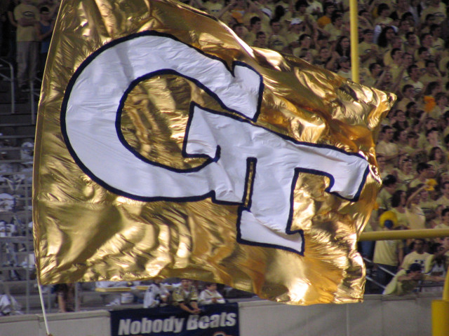 Giant flag stadium crowd people free wallpaper - medium preview image