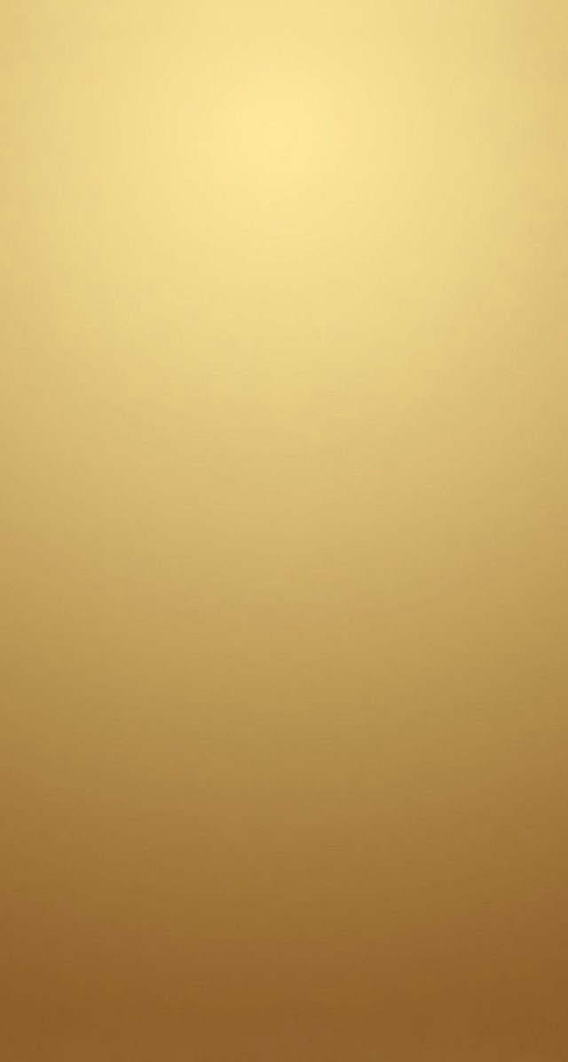 Gold background white black cat free wallpaper - medium preview image