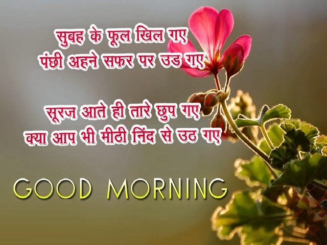 Pink flower good morning quote free wallpaper - medium preview image