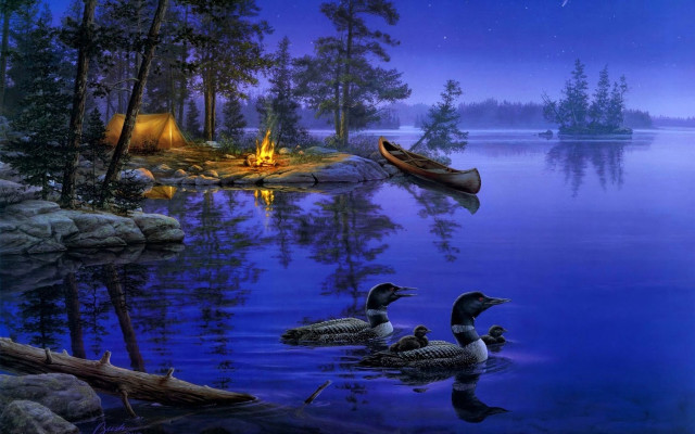 Ducks swimming lake night campfire free wallpaper - medium preview image