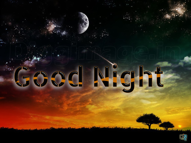 Sunset good night tree foreground free wallpaper - medium preview image