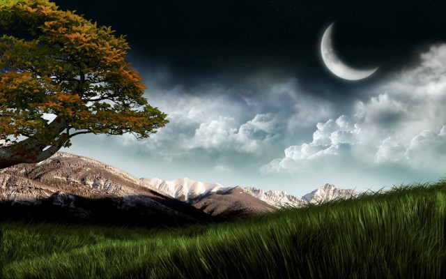 Tree moon sky grassy hill #3 free wallpaper - medium preview image