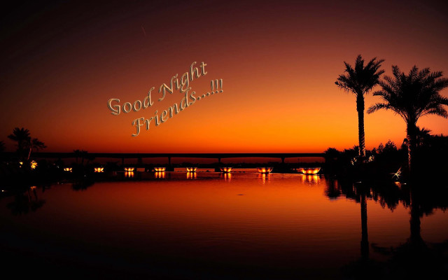 Sunset bridge palm trees good free wallpaper - medium preview image