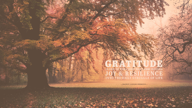 Tree quote gratitude joy resilience free wallpaper - medium preview image