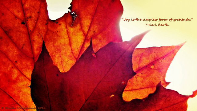 Close up leaf quote on free wallpaper - medium preview image