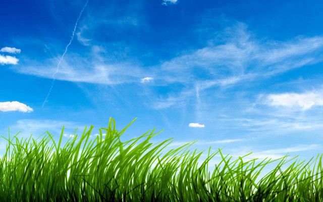 Green field blue sky clouds #75 free wallpaper - medium preview image