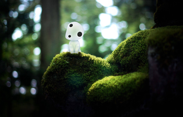 White dog moss stump forest free wallpaper - medium preview image
