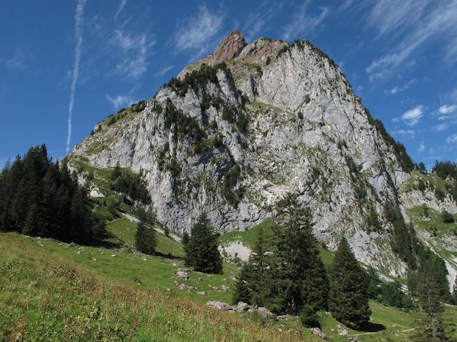 Mountain grassy field trees nature free wallpaper - medium preview image