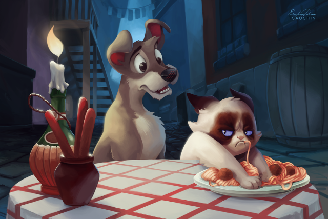 Cat dog table food candle free wallpaper - medium preview image