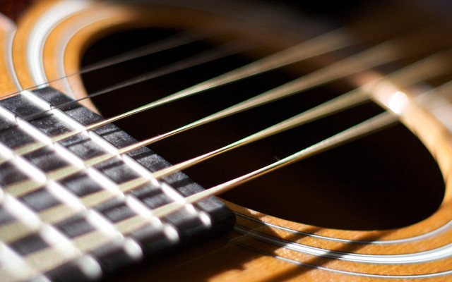 Guitar strings picker case closeup free wallpaper - medium preview image