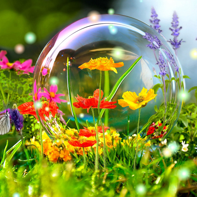 Bubble flowers inside grass field free wallpaper - medium preview image