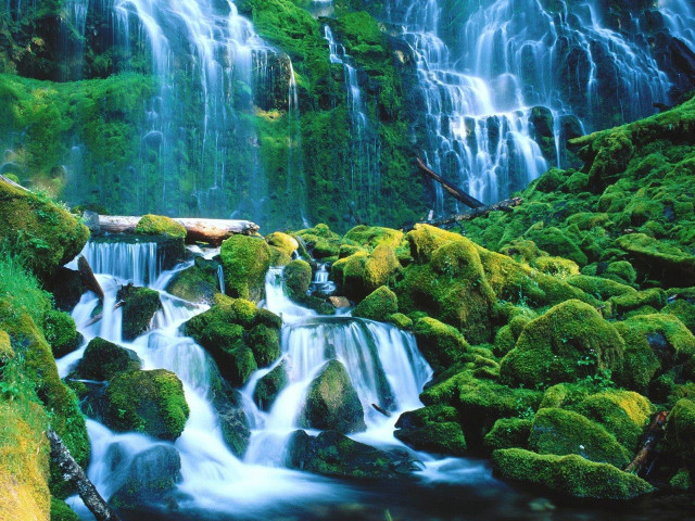 Waterfall moss rocks water log #5 free wallpaper - medium preview image