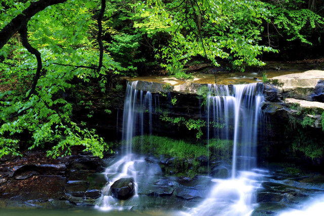 Waterfall forest lush green flowing free wallpaper - medium preview image