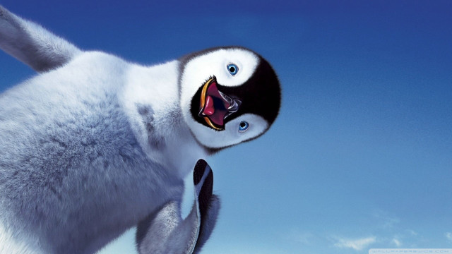 Smiling penguin mouth open happy free wallpaper - medium preview image
