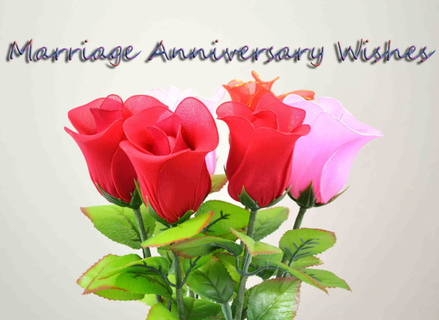 Vase roses table anniversary wishes free wallpaper - medium preview image