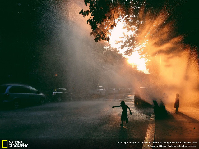 Person standing street fire hydrant free wallpaper - medium preview image