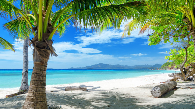 Beach palm tree clouds white free wallpaper - medium preview image