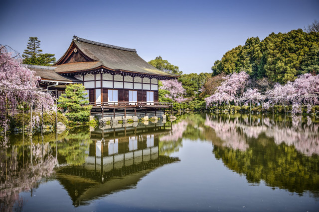 Building pond blooming trees bridge free wallpaper - medium preview image