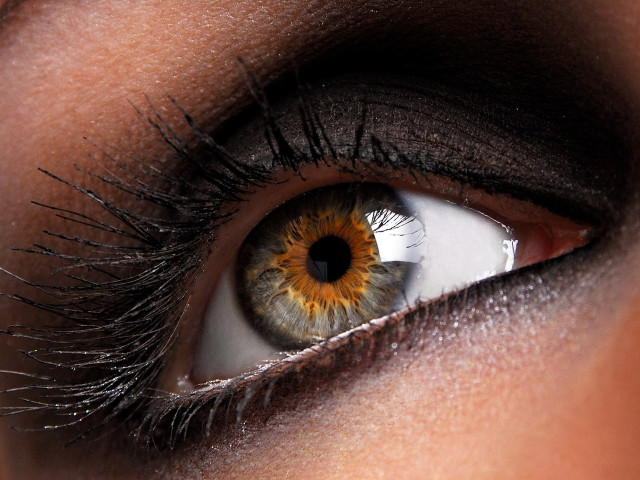 Woman eye brown yellow iris free wallpaper - medium preview image