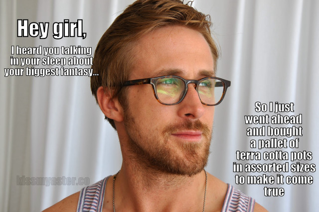 Man glasses quote caption brian free wallpaper - medium preview image