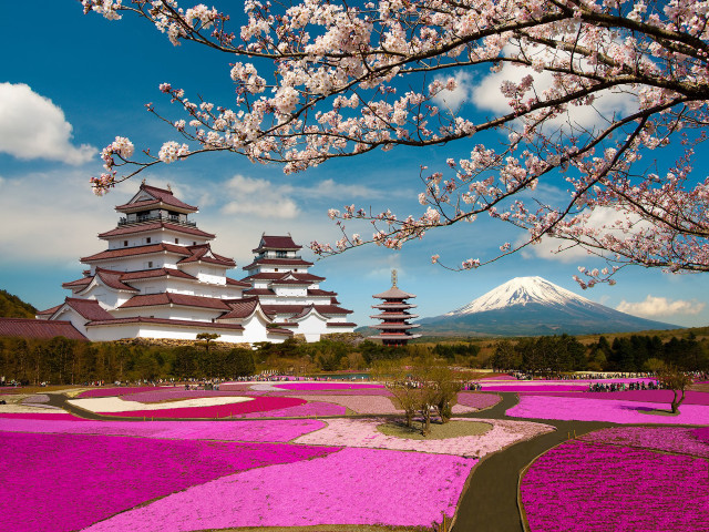 Large building mountain pink flowers free wallpaper - medium preview image