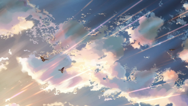 Sky clouds birds flying sunbeam free wallpaper - medium preview image