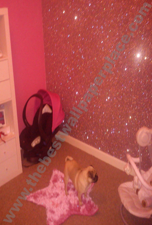 Small dog pink rug pink free wallpaper - medium preview image