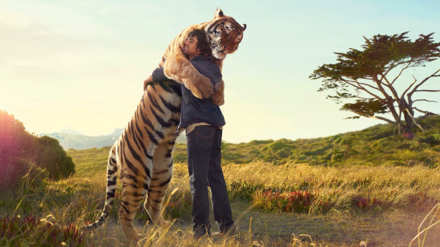 Man holding tiger face field free wallpaper - medium preview image