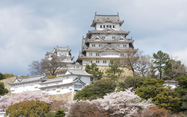 Tall tower clock trees bushes free wallpaper - medium preview image
