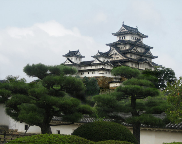 Tall building tower roof trees free wallpaper - medium preview image