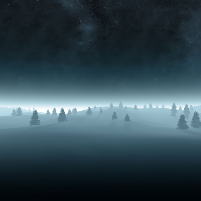 Night sky stars trees foreground #6 free wallpaper - medium preview image
