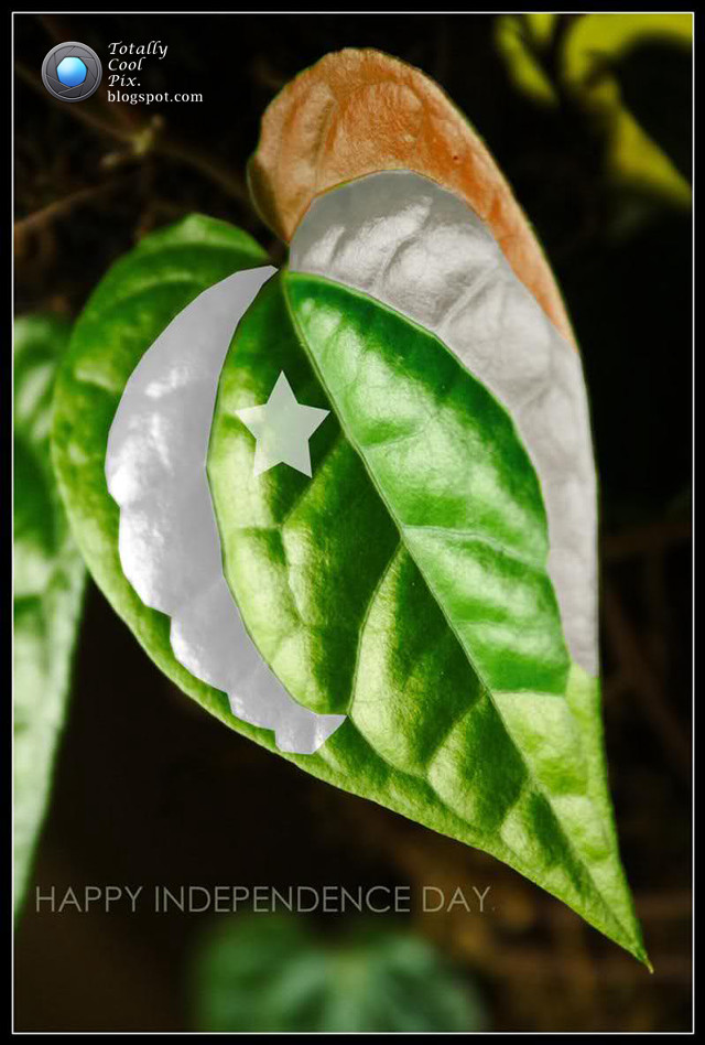 Green leaf crescent star happy free wallpaper - medium preview image