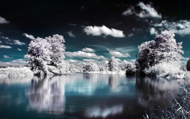 Lake trees clouds blue sky #7 free wallpaper - medium preview image