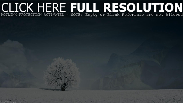 Lone tree snowy field dark free wallpaper - medium preview image