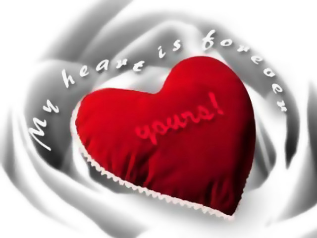 Heart message white rose red free wallpaper - medium preview image