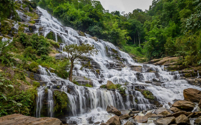 Waterfall tree rocks foreground trees free wallpaper - medium preview image