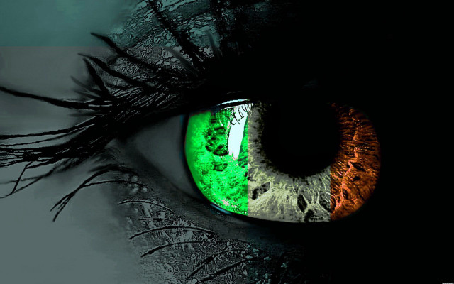 Close up green orange eye free wallpaper - medium preview image