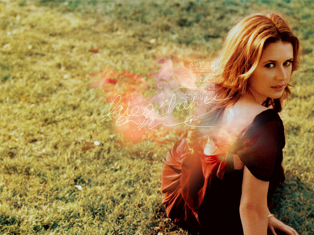 Woman laying grass field blurry free wallpaper - medium preview image