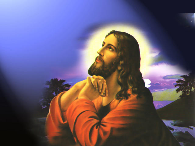 Jesus palm trees blue sky free wallpaper - medium preview image