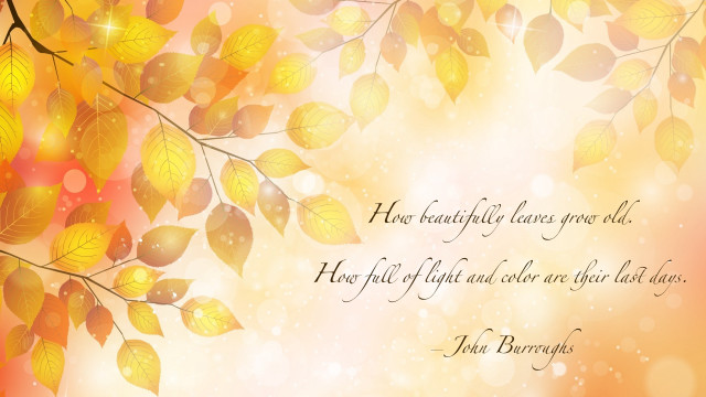 Tree leaves quote harvest fall free wallpaper - medium preview image