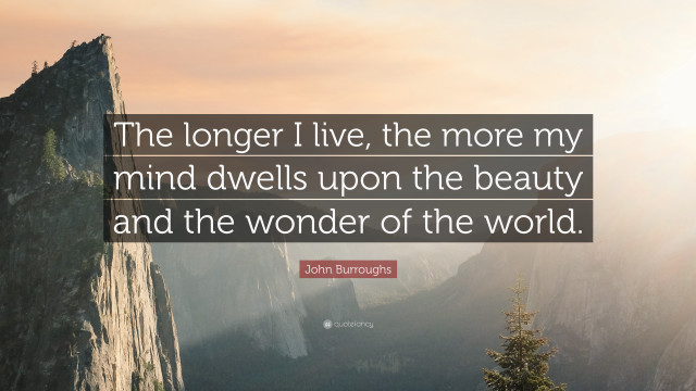 John schrup quote longer i free wallpaper - medium preview image