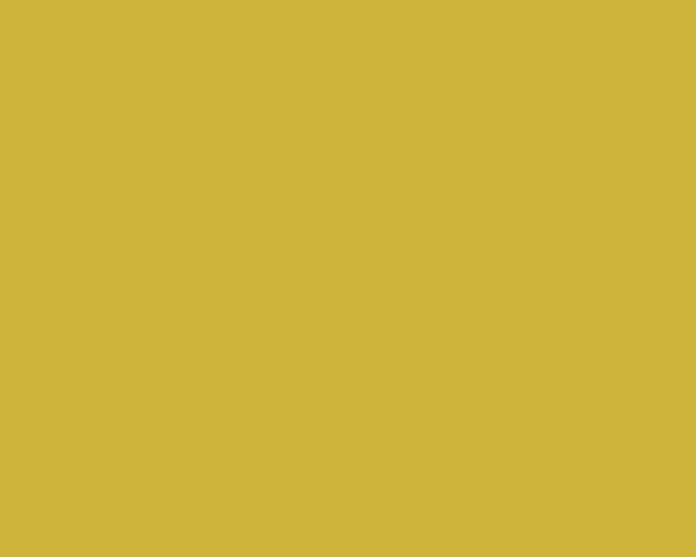 Yellow black white border minimalist #2 free wallpaper - medium preview image
