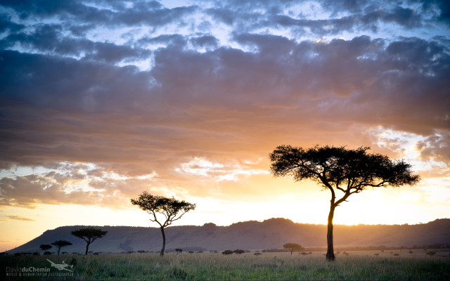 Trees grass hill clouds sky free wallpaper - medium preview image